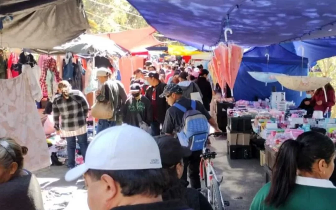 Tianguis de Nativitas: Un Pilar Comercial en Crecimiento