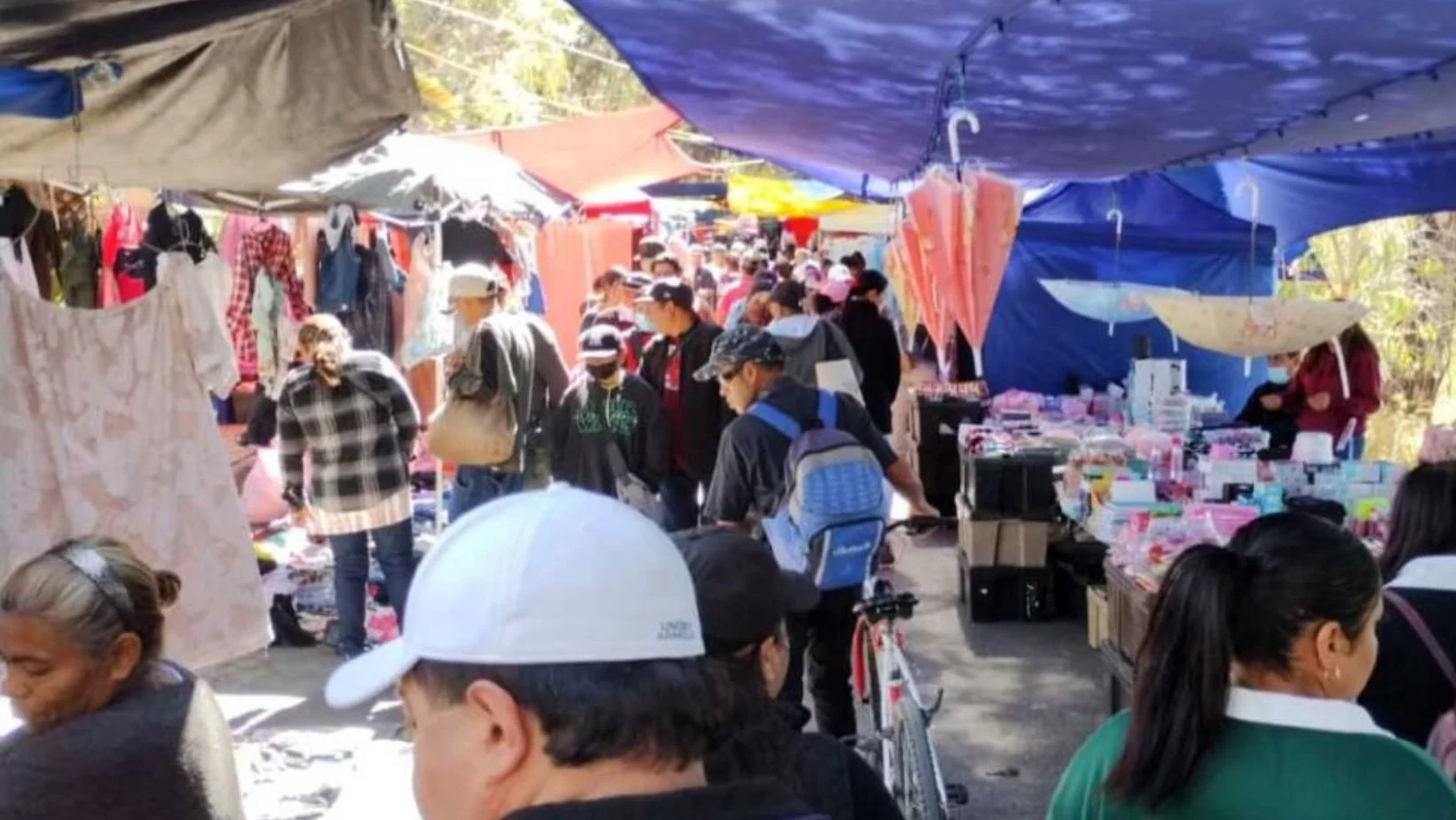 Tianguis de Nativitas: Un Pilar Comercial en Crecimiento