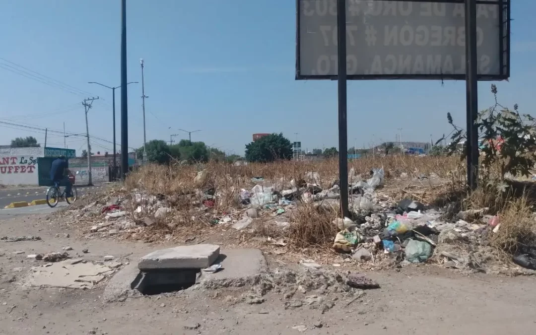 Basureros Clandestinos en Salamanca: ¿Cómo Abordar este Problema?