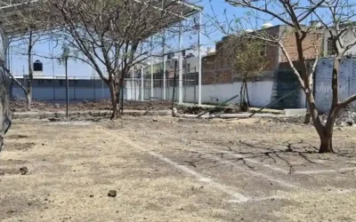 Preocupa retiro de árboles en parque Albino García por obra en Salamanca