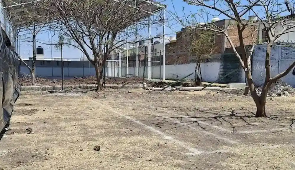 Preocupa retiro de árboles en parque Albino García por obra en Salamanca