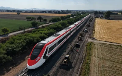 Salamanca recibirá 500 árboles por obras del tren de pasajeros en Guanajuato; compensarán posibles afectaciones ambientales