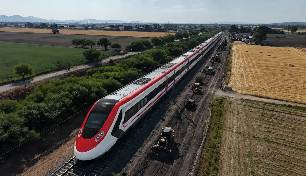 Salamanca recibirá 500 árboles por obras del tren de pasajeros en Guanajuato; compensarán posibles afectaciones ambientales