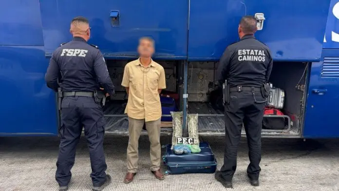 PEC asegura más de mil dosis de presunta marihuana y detiene a Roberto “N” en autobús en Salamanca